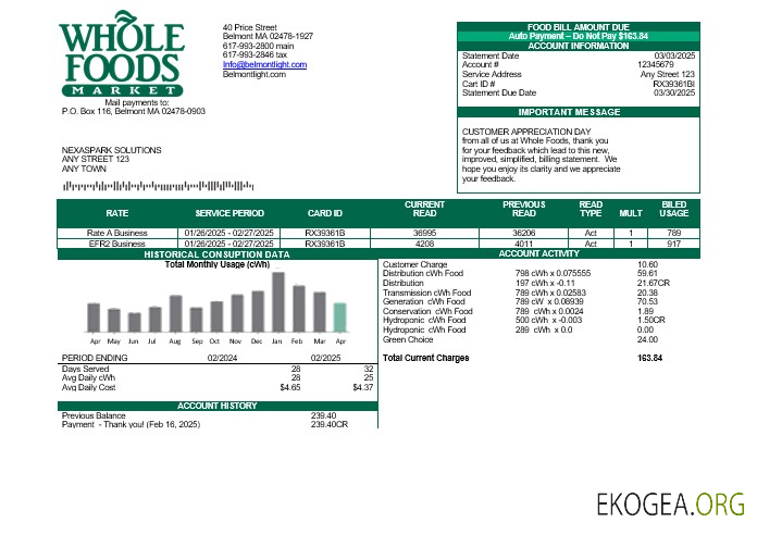 Modèle de facture de services publics de USA Whole Foods Market aux formats Word et PDF